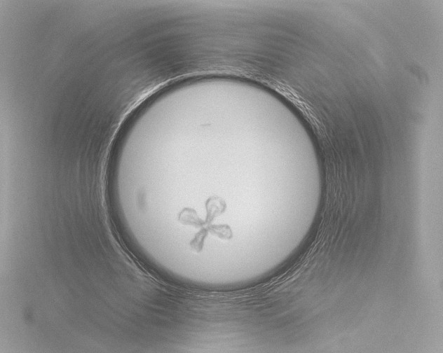 X0000115580440200912221052