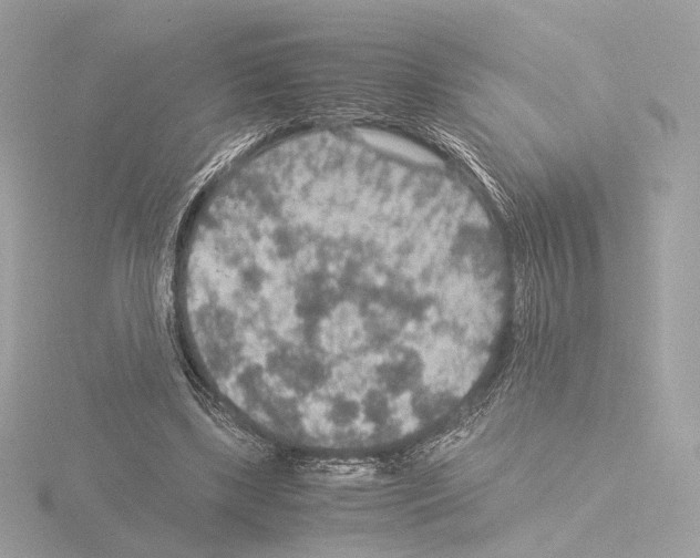 X0000115580443200912221052