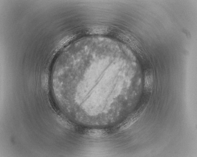 X0000115580444200912221052