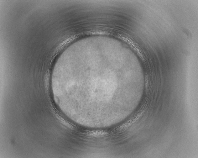 X0000115580445200912221052