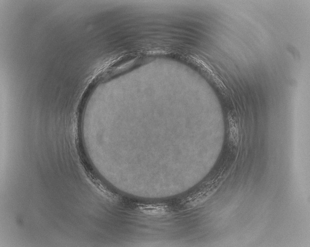 X0000115580447200912221052