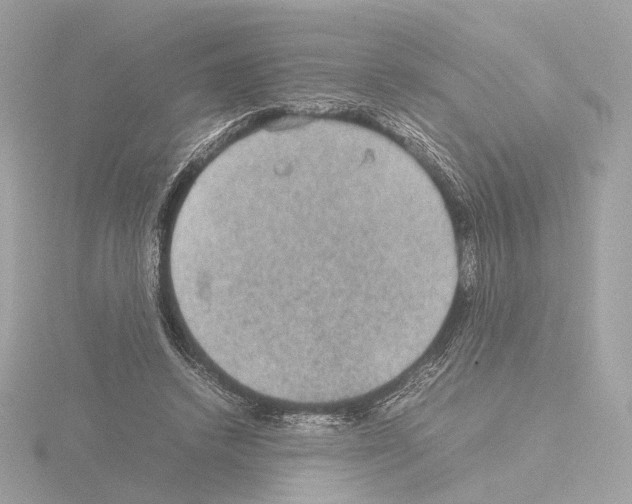 X0000115580448200912221052