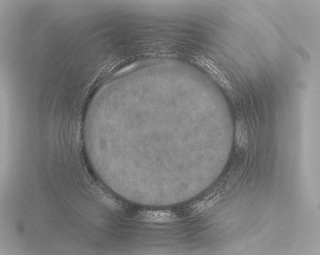 X0000115580449200912221052