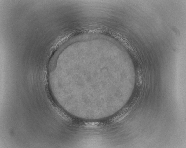 X0000115580450200912221052