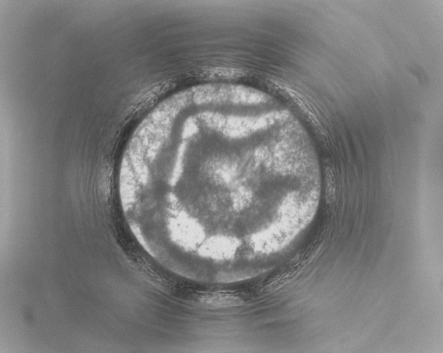 X0000115580451200912221052