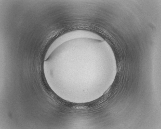 X0000115580452200912221052