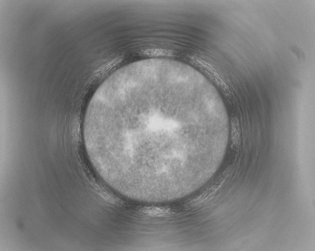 X0000115580453200912221052