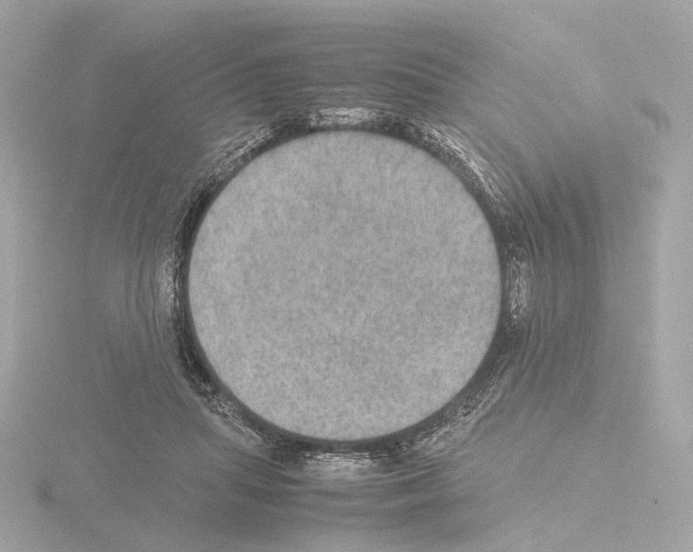 X0000115580455200912221052