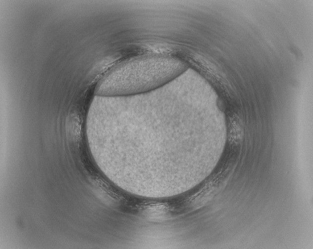 X0000115580456200912221052