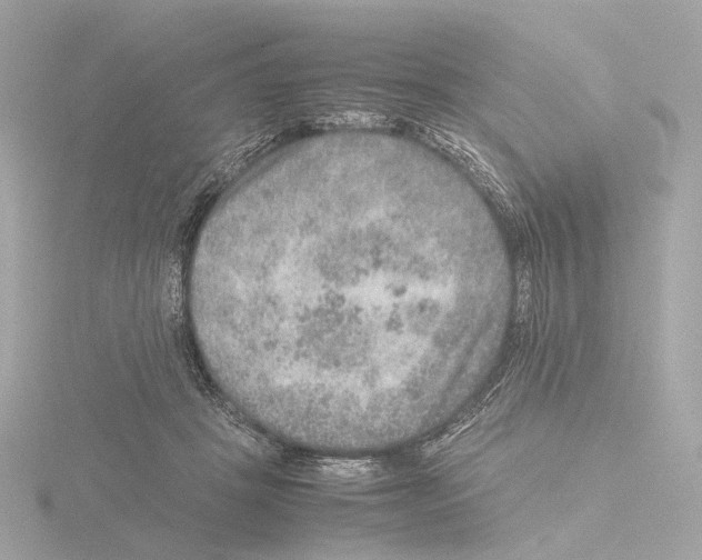 X0000115580457200912221052