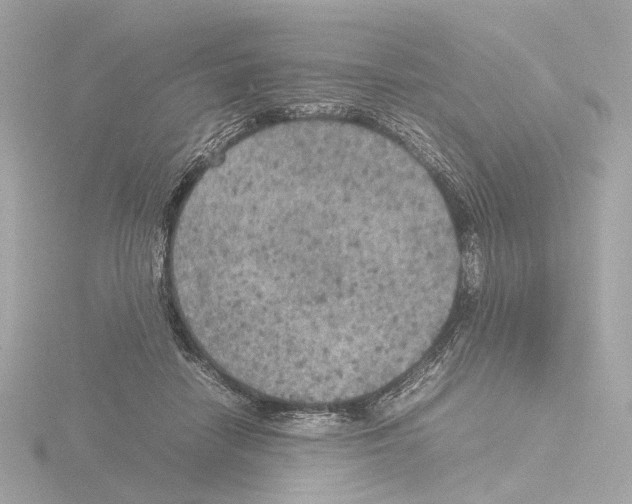 X0000115580458200912221052