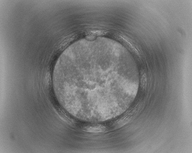 X0000115580459200912221052