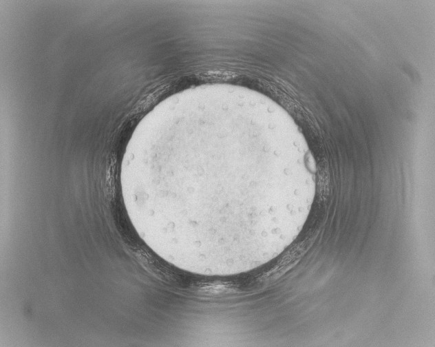 X0000115580460200912221052