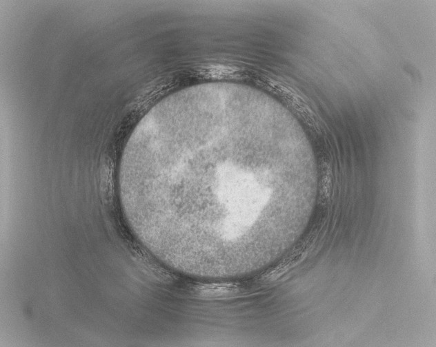 X0000115580461200912221052