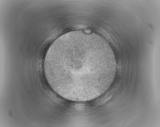 X0000115580462200912221052