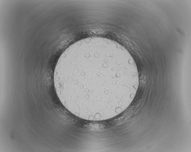 X0000115580464200912221052