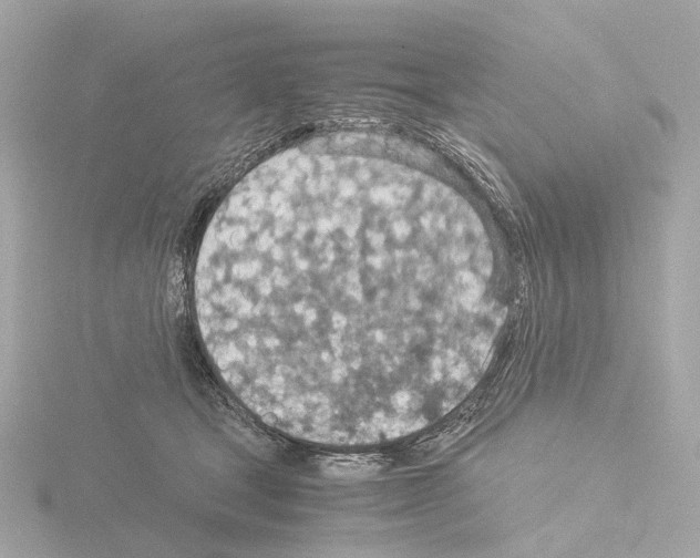 X0000115580465200912221052