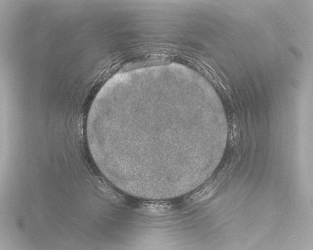 X0000115580466200912221052