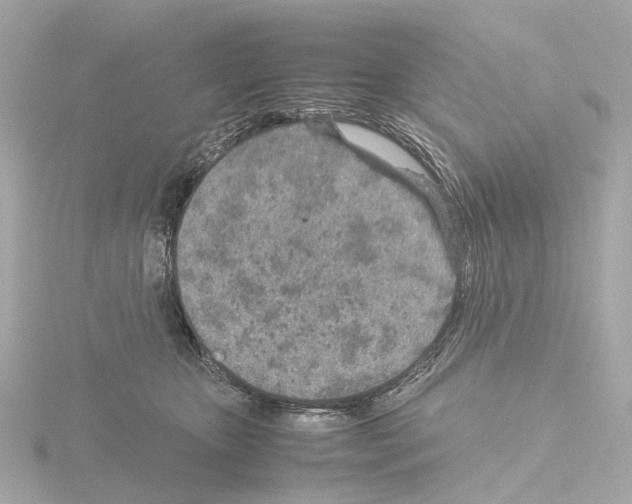 X0000115580467200912221052