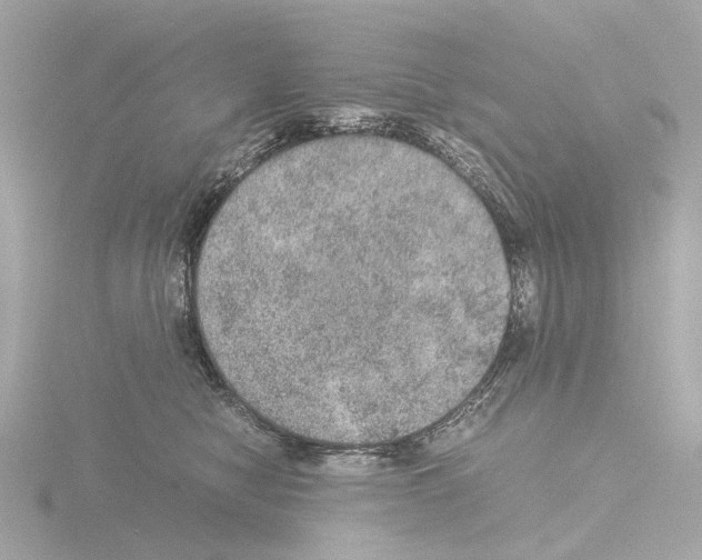 X0000115580470200912221052