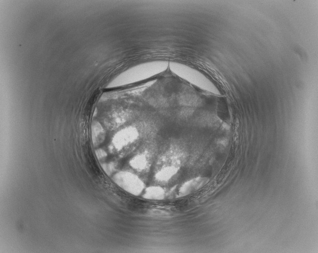 X0000115580471200912221052