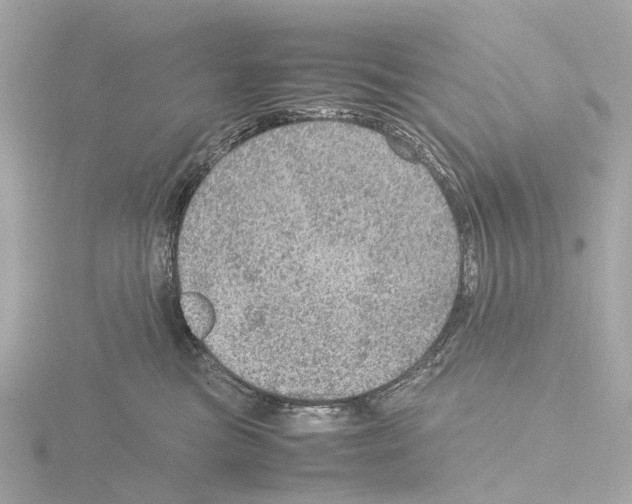 X0000115580473200912221052