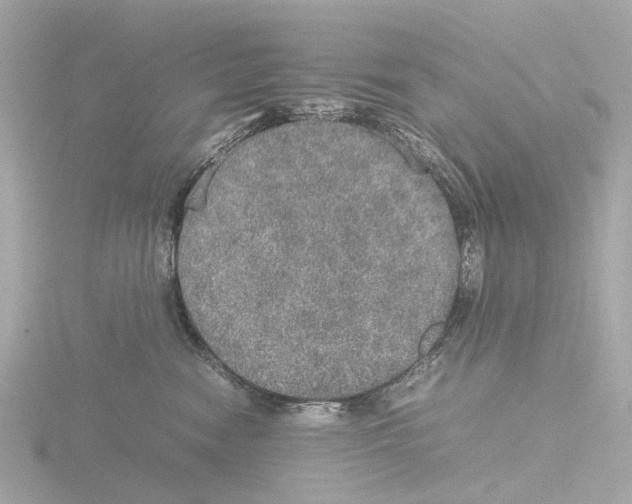 X0000115580474200912221052