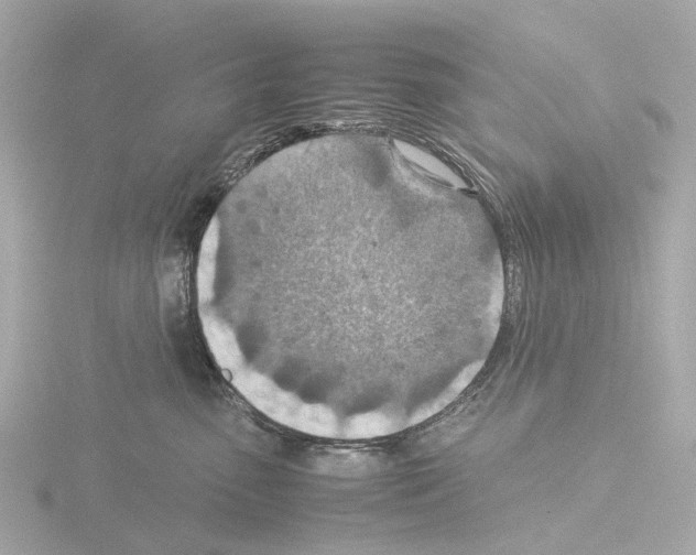 X0000115580475200912221052