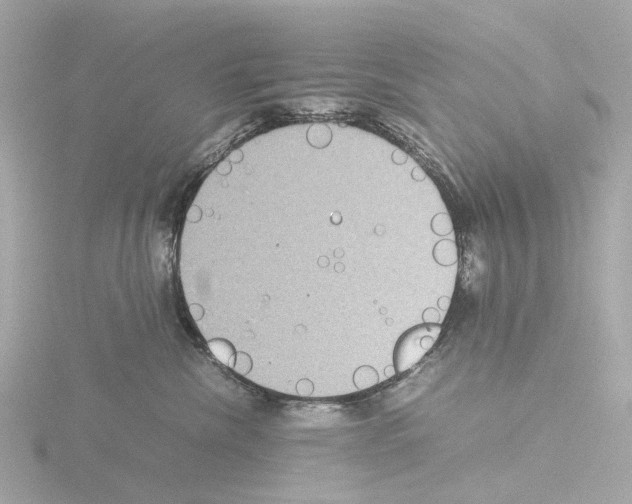 X0000115580476200912221052