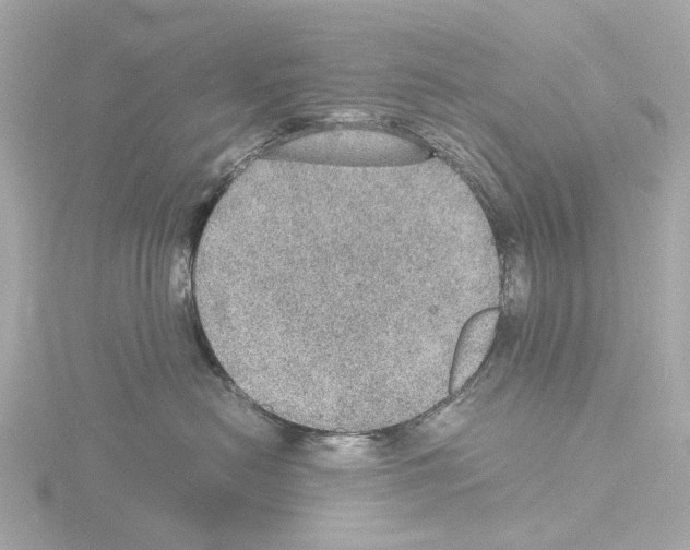 X0000115580478200912221052