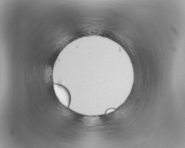 X0000115580480200912221052