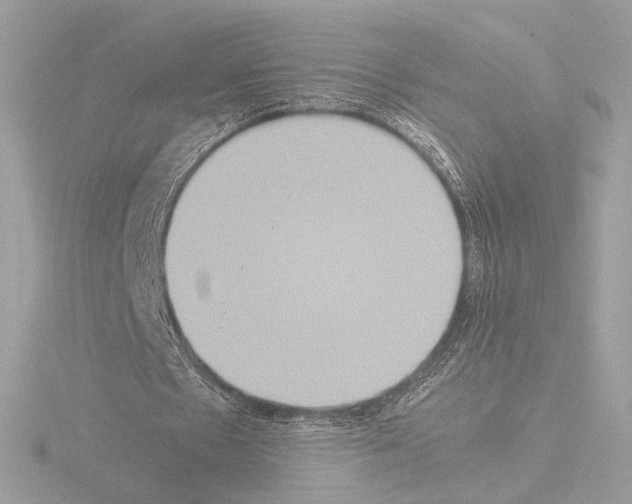 X0000115580481200912221052