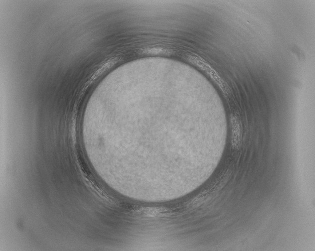 X0000115580482200912221052