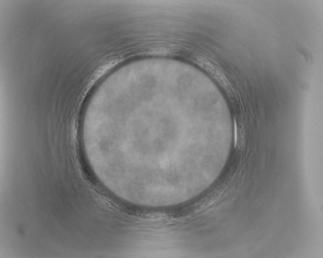 X0000115580483200912221052