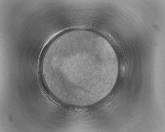 X0000115580484200912221052