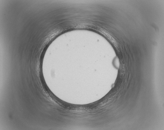 X0000115580485200912221052