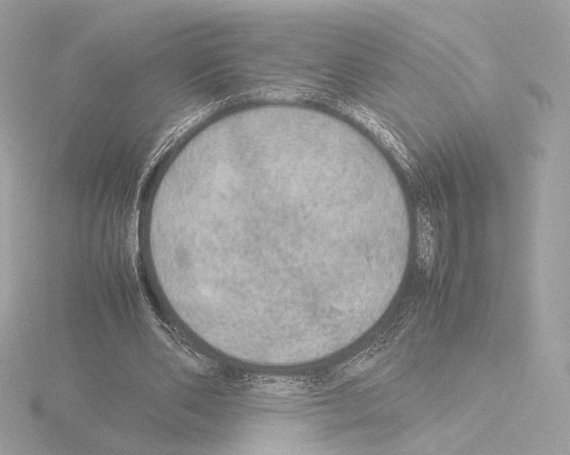 X0000115580486200912221052