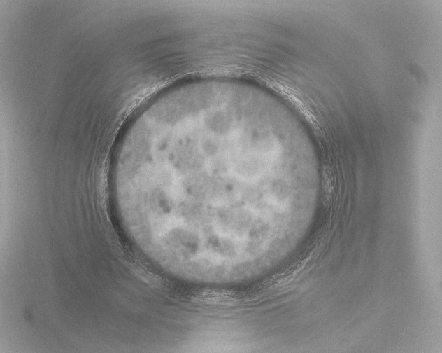 X0000115580487200912221052