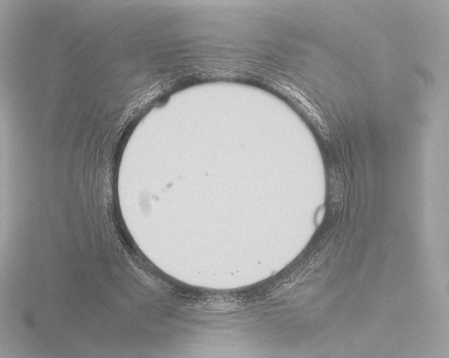 X0000115580489200912221052