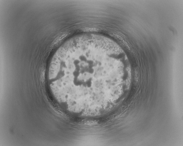 X0000115580491200912221052