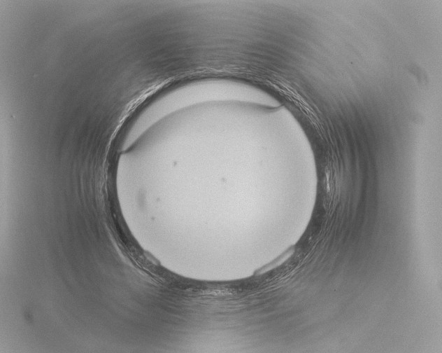 X0000115580492200912221052