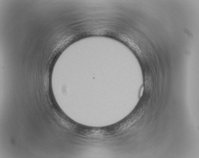 X0000115580493200912221052