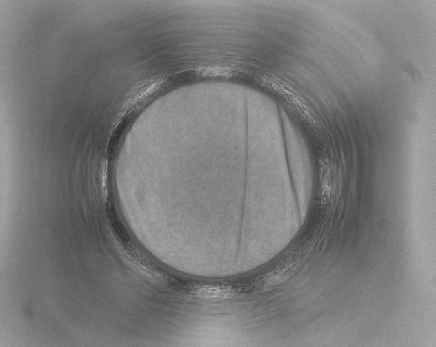 X0000115580494200912221052