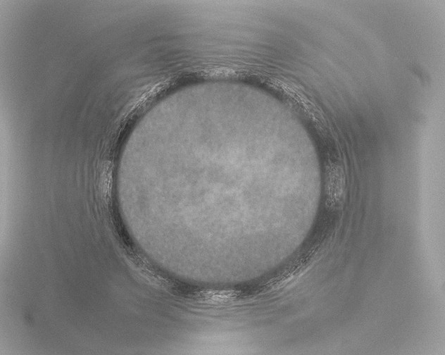 X0000115580495200912221052