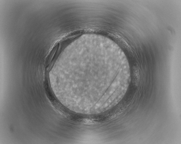 X0000115580496200912221052