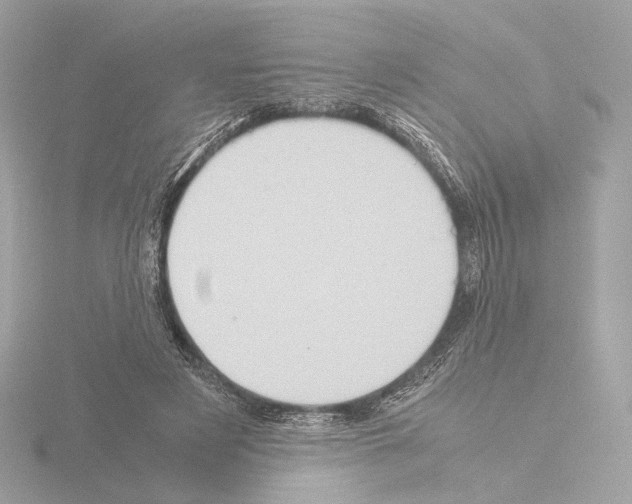 X0000115580497200912221051