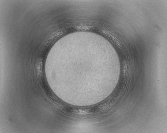 X0000115580498200912221051