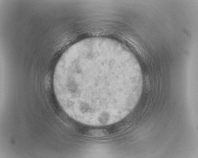 X0000115580499200912221051