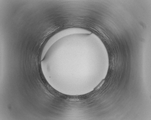 X0000115580500200912221051