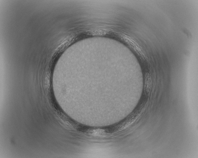 X0000115580501200912221051